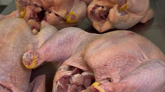 What Actually Changes When Chicken Is Raised Properly?